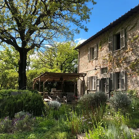 Immerso Nelle Colline Lantställe Montecatini Val di Cecina